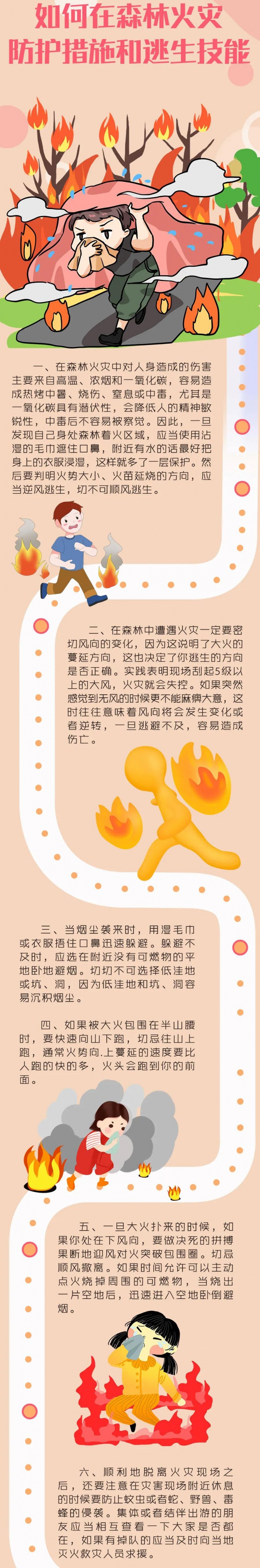 撲救,森林,火災(zāi),時,脫險,自救,方法,森林,火災(zāi), . 撲救森林火災(zāi)時脫險自救方法