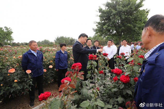 習,近,平,在,河南,南陽,考察,調(diào)研,習,近,平, . 習近平在河南南陽考察調(diào)研